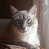 Spike participe au concours pour gagner de l'argent avec cette photo :