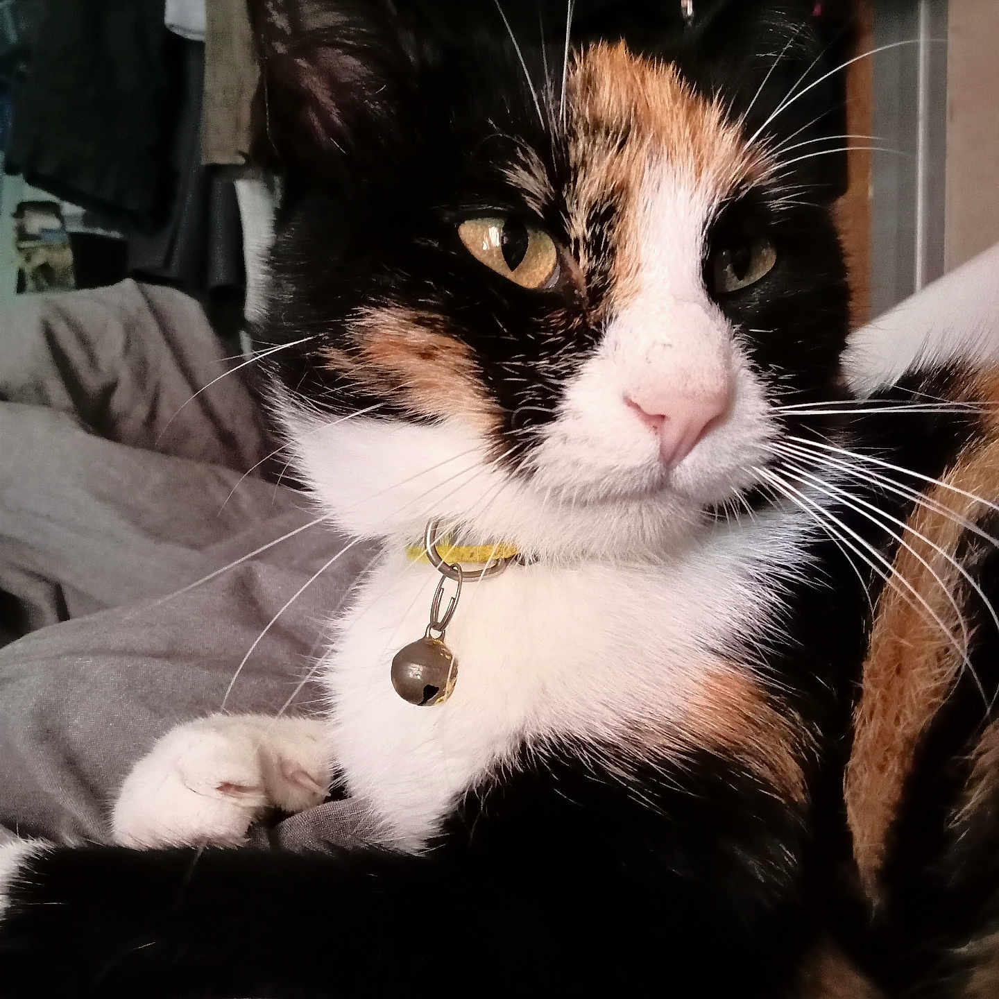 Praline