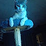 cat, cat_tree, pet, feline, indoor, animal, whiskers, fur, curious, blue, perched, play_toy, scratching_post, resting, looking, domestic_cat, house, cozy, quiet, night