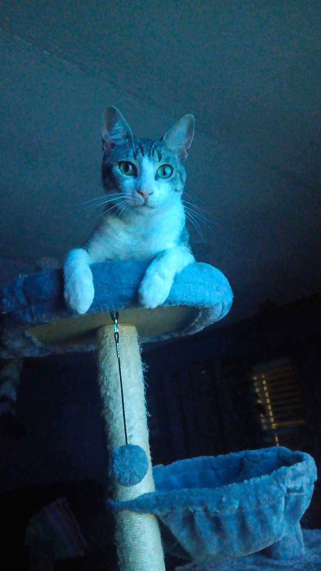 Lucifer