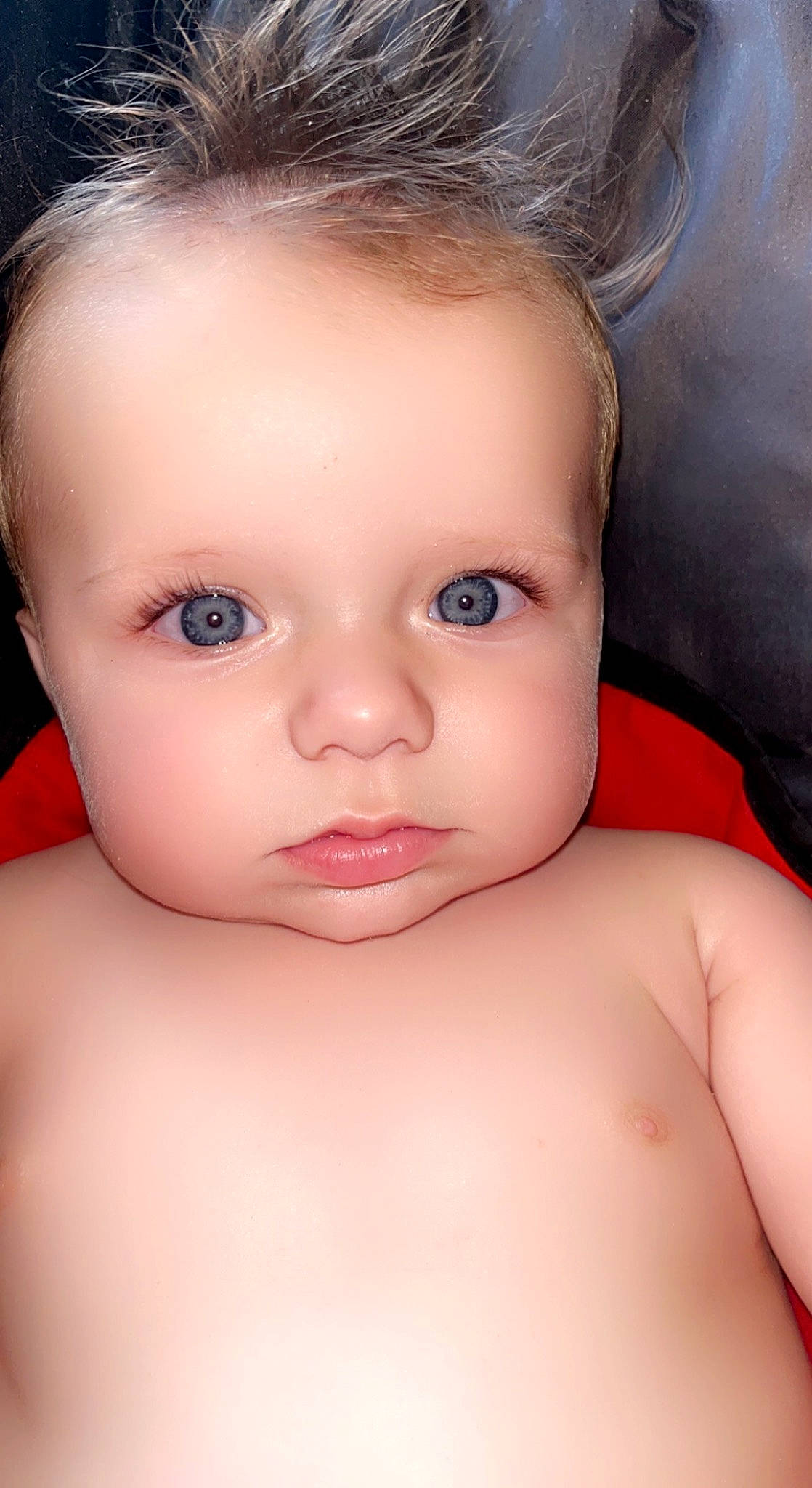 Braelyn is registered to the contest to win money with this photo: cheek, chin, ear, eyebrow, eyelash, flash_photography, forehead, hair, human_body, iris, jaw, joint, lip, mouth, muscle, neck, no_expression, nose, person, shoulder