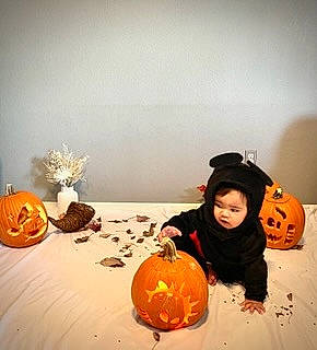 David joined the competition — help win amazing prizes! art, calabaza, cucurbita, fun, gourd, jack_o_lantern, local_food, natural_foods, orange, person, produce, pumpkin, room, sitting, squash, still_life_photography, table, trick_or_treat, vegetable, winter_squash