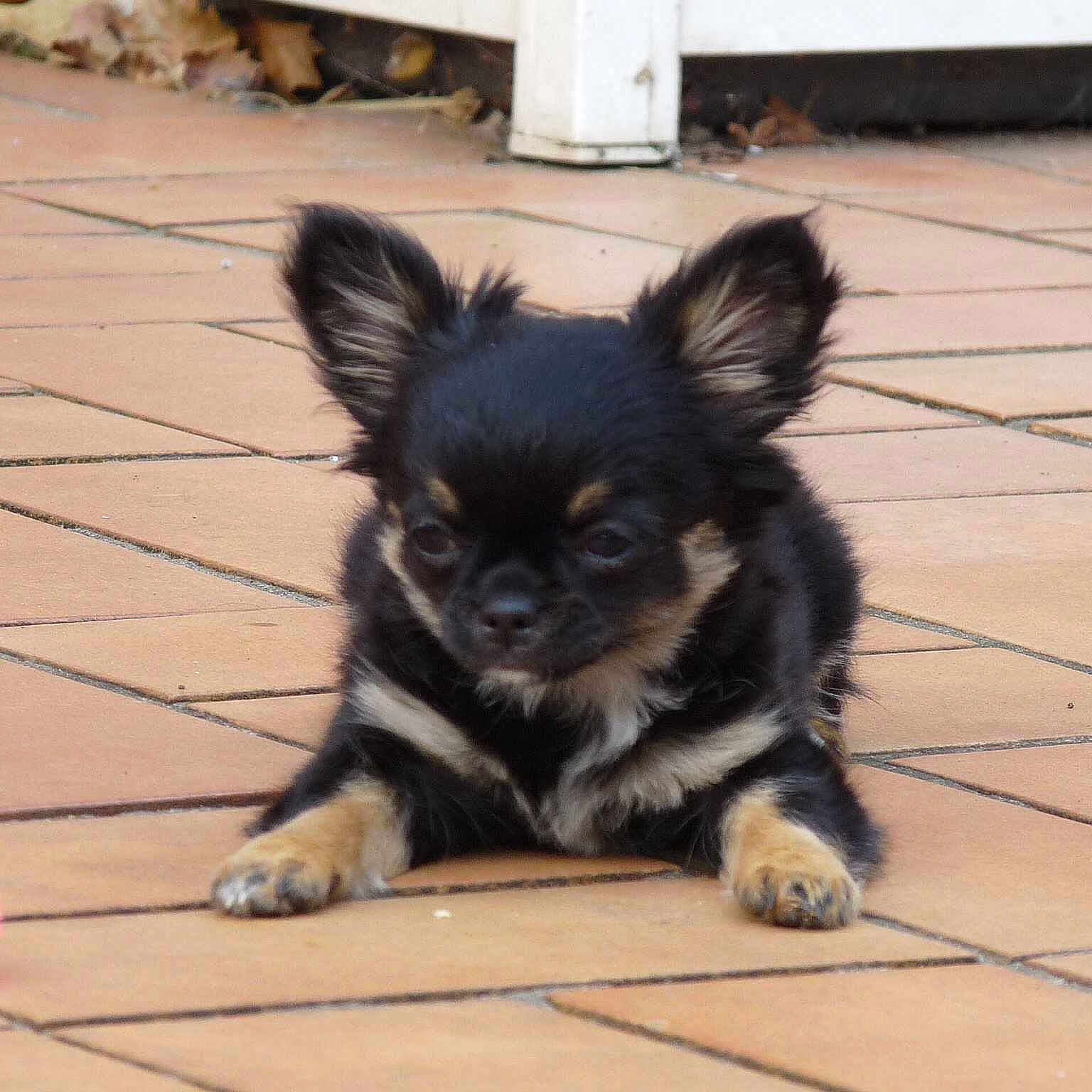 Joy participe au concours pour gagner de l'argent avec cette photo :