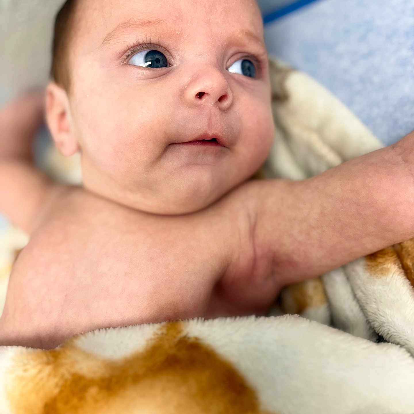Diego is registered to the contest to win money with this photo: baby, blanket, child, closeup, comfort, cozy, cute, expression, eyes, face, human, indoors, infant, lying_down, newborn, portrait, skin, soft, warm, young