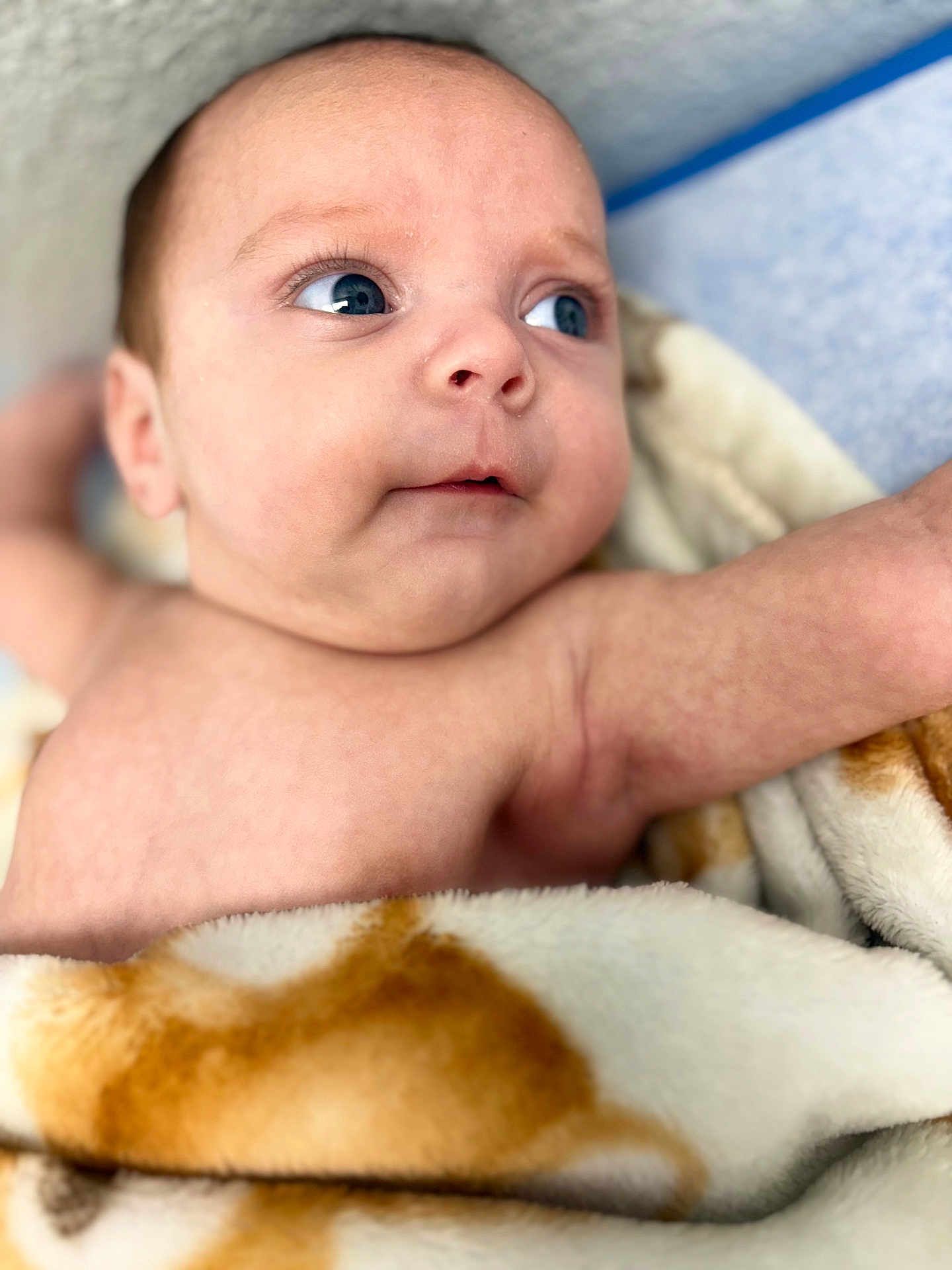 Diego is registered to the contest to win money with this photo: baby, infant, blanket, skin, face, eyes, expression, cute, newborn, child, portrait, soft, warm, cozy, human, closeup, lying_down, indoors, comfort, young