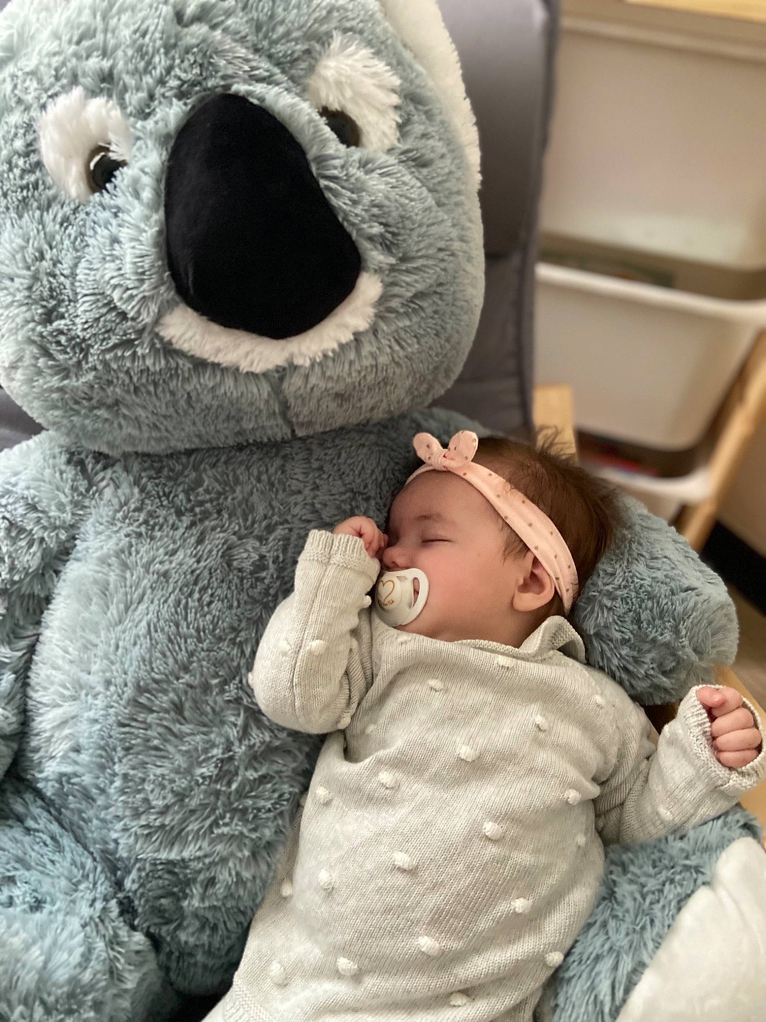 Savannah a rejoint le concours — aidez-le/la à gagner de superbes lots ! baby, baby_products, baby_toddler_clothing, baby_toys, bear, comfort, fur, person, plush, snout, stuffed_toy, teddy_bear, textile, toy