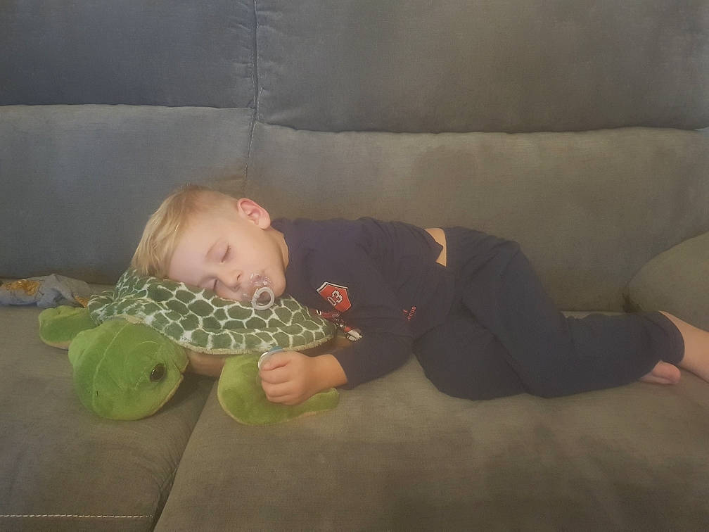 Timéo a rejoint le concours — aidez-le/la à gagner de superbes lots ! baby, child, person, reptile, toddler, tortoise, turtle