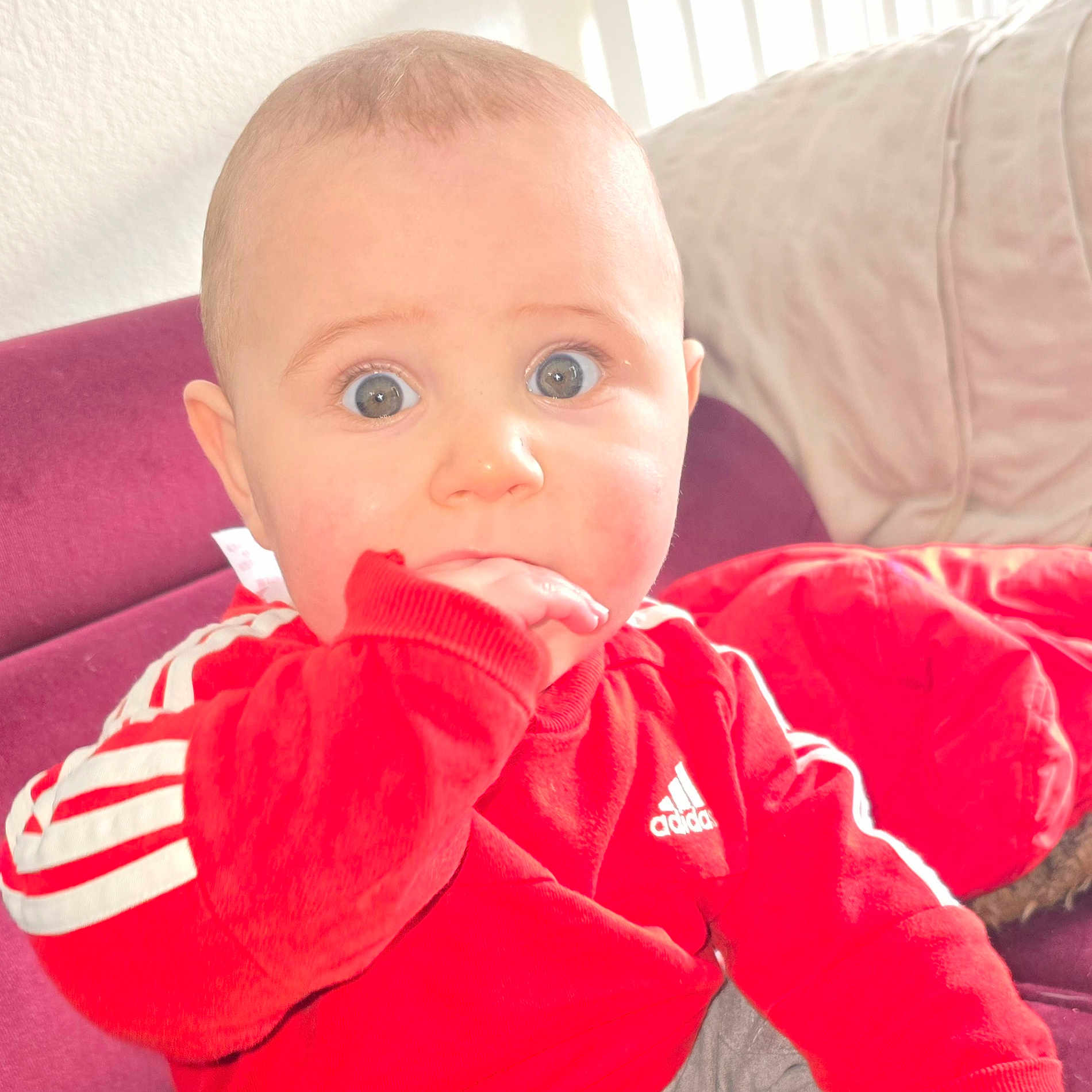 Mike a rejoint le concours — aidez-le/la à gagner de superbes lots ! baby, biting, bodypart, clothing, coat, couch, cushion, cutlery, face, finger, furniture, hand, head, homedecor, jacket, knitwear, person, photography, portrait, sweater