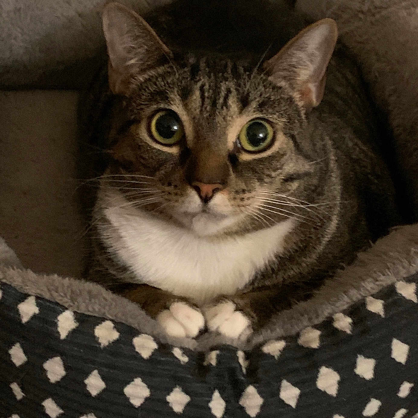Millie