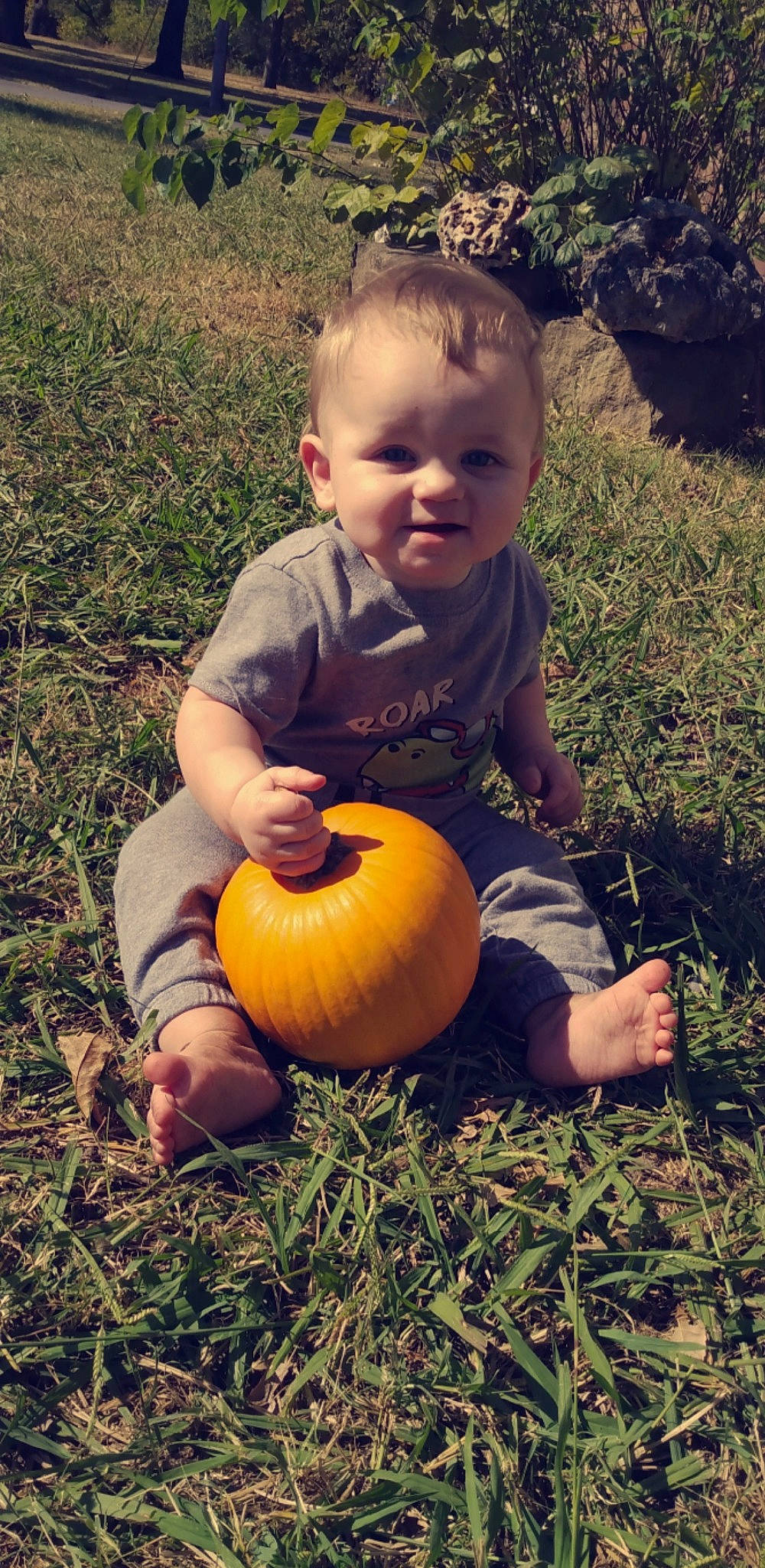 Jaxxon is registered to the contest to win money with this photo: arm, baby, baby_toddler_clothing, ball, calabaza, face, finger, grass, hair, hand, happy, head, leaf, leg, people_in_nature, person, plant, pumpkin, sunlight, toddler