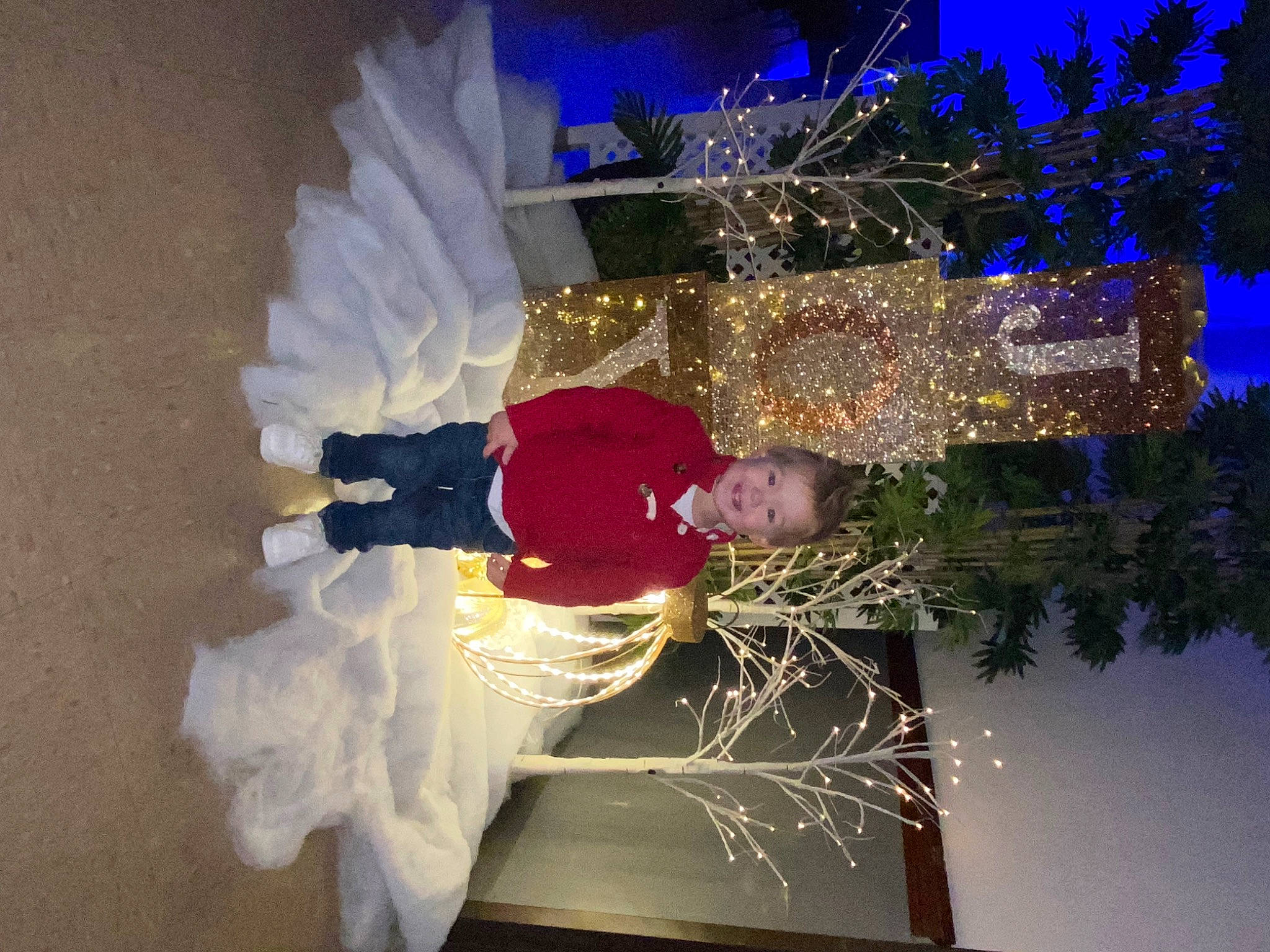 Lincoln joined the competition — help win amazing prizes! christmas, decoration, electric_blue, event, fir, fun, holiday, interior_design, joy, person, plant, space, tree, world