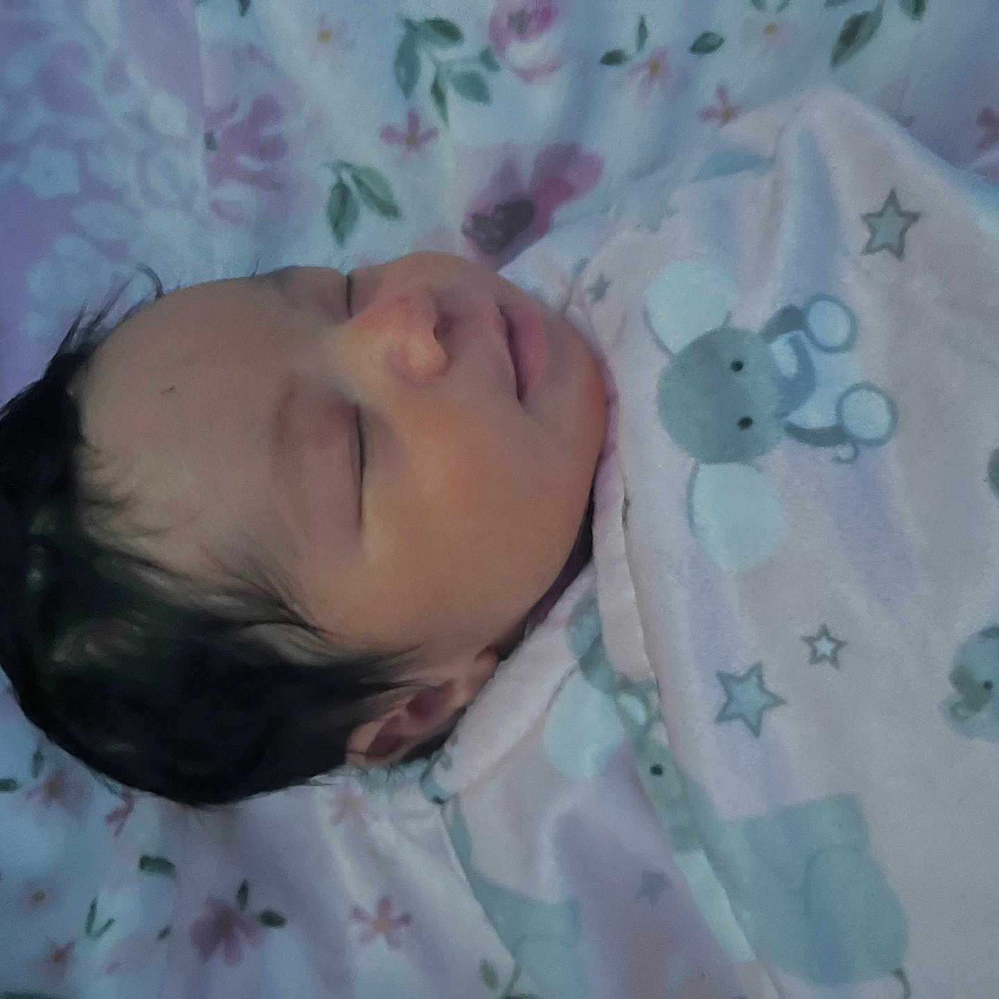 Chosenn joined the competition — help win amazing prizes! animal_print, baby, bed, blanket, child, closeup, cozy, cute, face, floral, indoors, infant, newborn, pattern, peaceful, portrait, resting, sleeping, soft, star