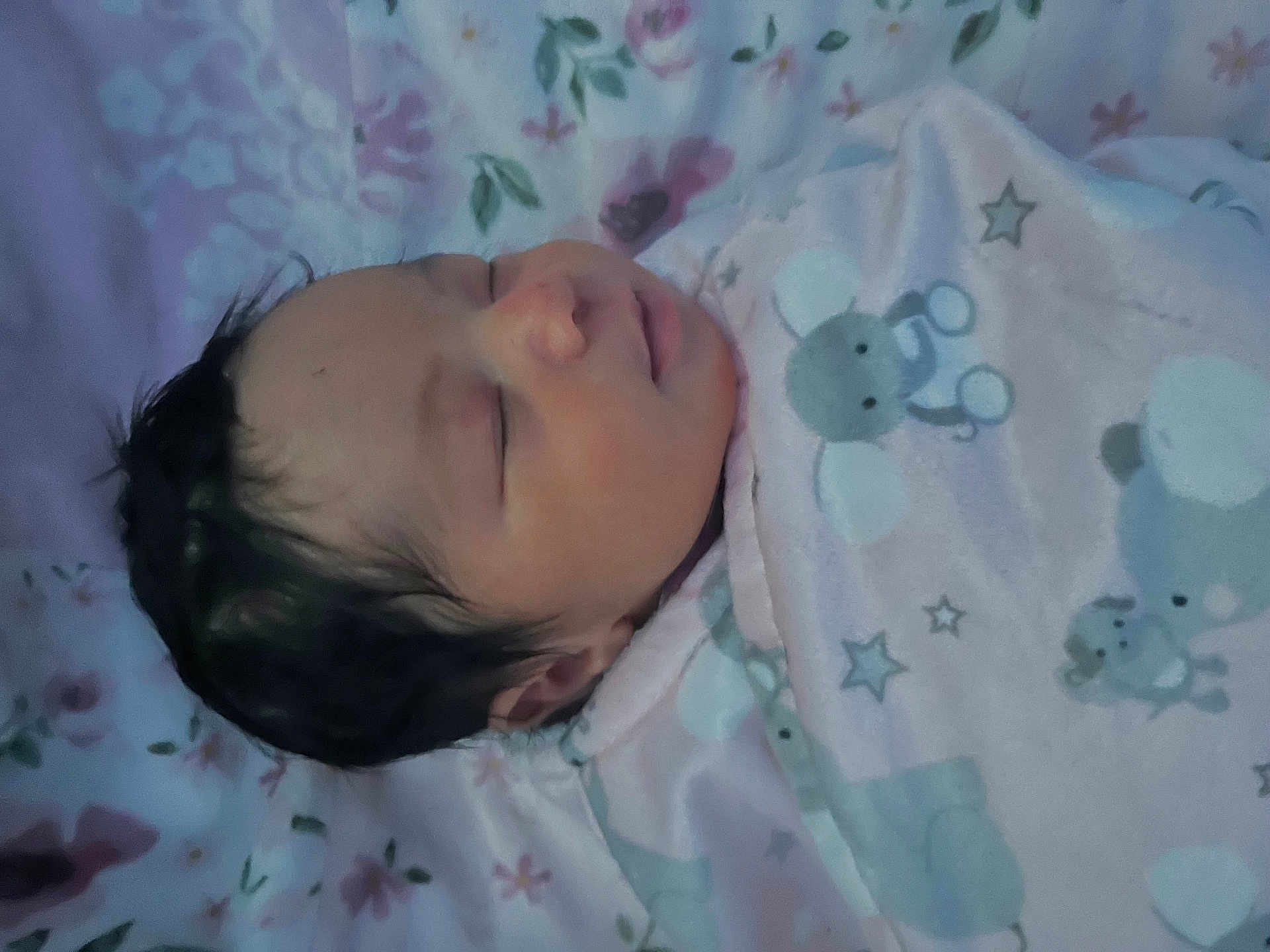Chosenn joined the competition — help win amazing prizes! animal_print, baby, bed, blanket, child, closeup, cozy, cute, face, floral, indoors, infant, newborn, pattern, peaceful, portrait, resting, sleeping, soft, star