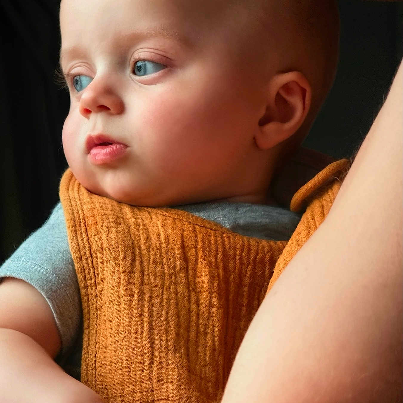 Messer joined the competition — help win amazing prizes! arm, baby, blue_eyes, candid, child, closeup, expression, face, gentle, holding, human, indoor, infant, looking_away, orange_cloth, parent, person, portrait, skin, soft_light