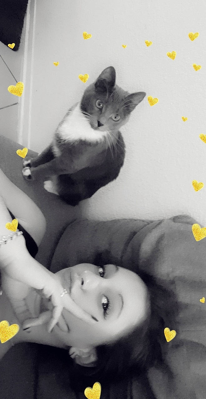 Boulette a rejoint le concours — aidez-le/la à gagner de superbes lots ! black_and_white, black_cat, carnivore, cat, domestic_short_haired_cat, felidae, kitten, russian_blue, small_to_medium_sized_cats, snapshot, whiskers