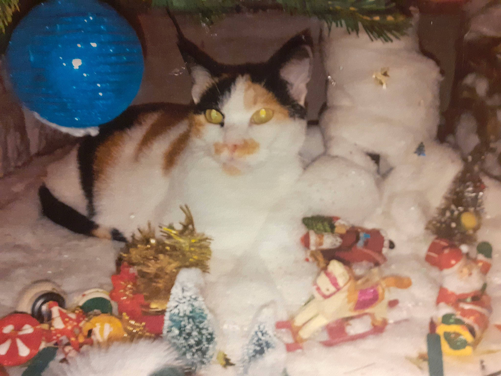 Heidi participe au concours pour gagner de l'argent avec cette photo : art, carnivore, cat, cat_bed, cat_supply, collection, domestic_short_haired_cat, event, felidae, fur, pattern, paw, small_to_medium_sized_cats, souvenir, tail, vertebrate, whiskers, white