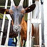 Joyeuse participe au concours pour gagner de l'argent avec cette photo :