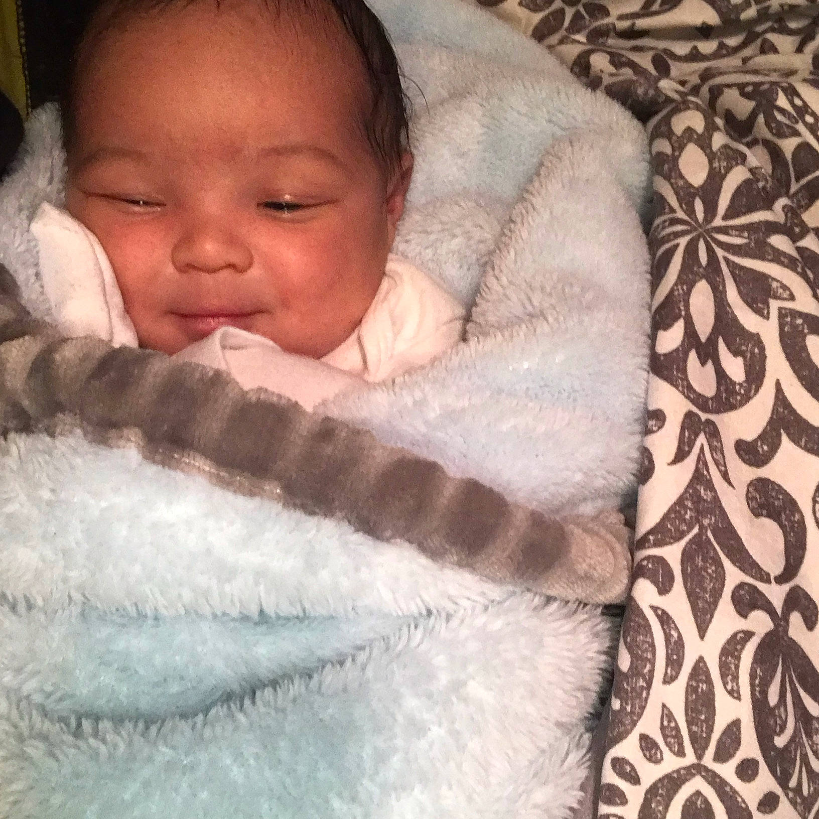 Dion joined the competition — help win amazing prizes! baby, baby_sleeping, beauty, bedding, blanket, cheek, child, eye, face, fur, hand, head, linens, lip, nose, person, product, skin, sleep, textile