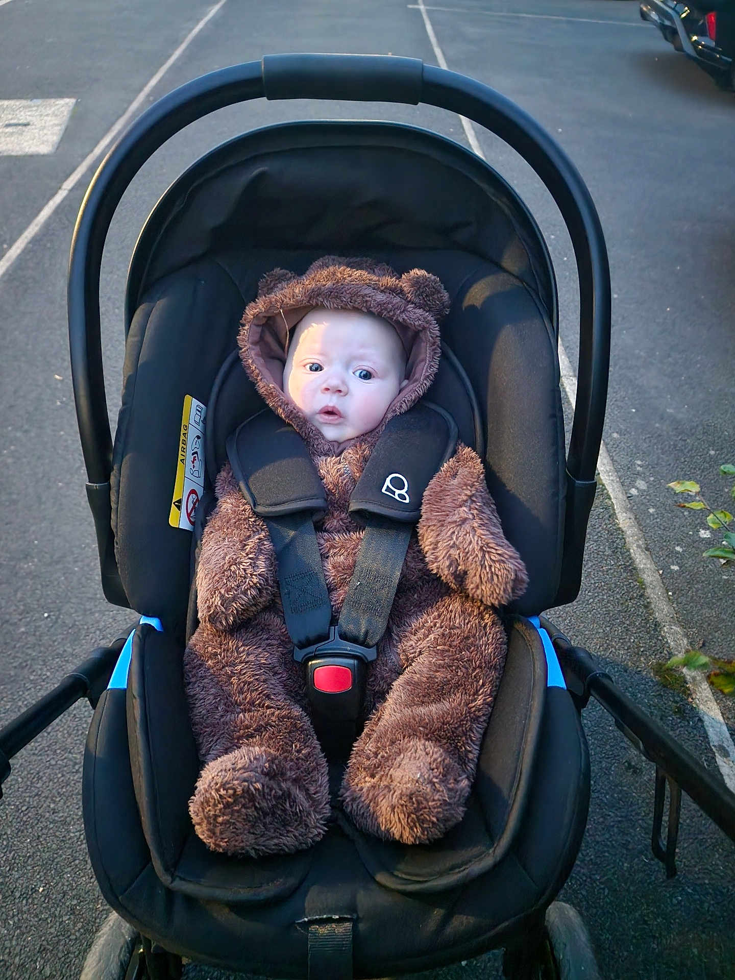 Oliver is registered to the contest to win money with this photo: baby, stroller, infant, child, outdoor, cute, fur_suit, black, seatbelt, car_seat, walkway, sidewalk, urban, expression, wide_eyes, bundle_up, winter_clothing, parked_car, road, hood