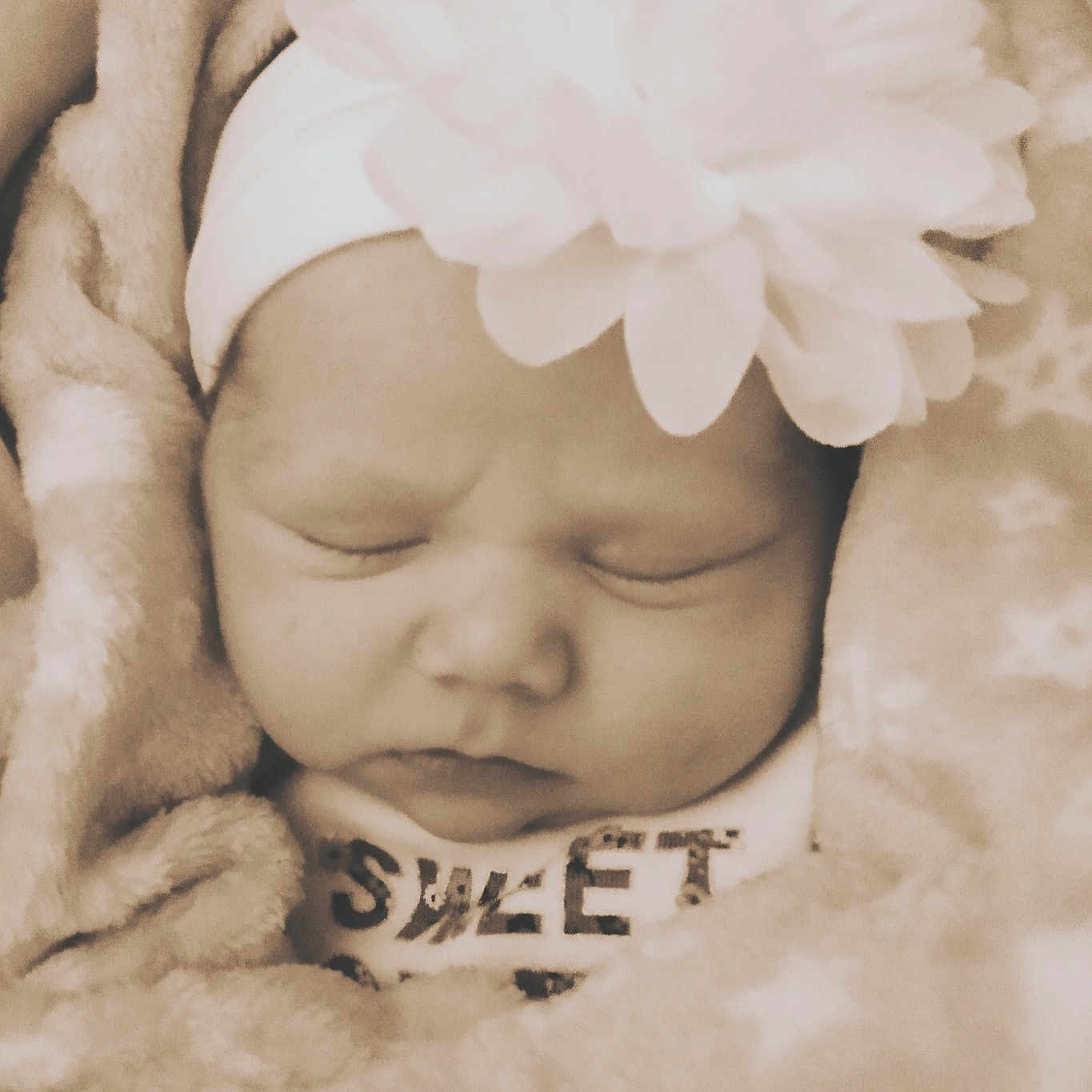 Everest is registered to the contest to win money with this photo: baby, baby_sleeping, baby_toddler_clothing, child, comfort, eyebrow, face, fur, hand, happy, head, headband, headgear, headpiece, human_body, petal, skin, smile, textile, toddler