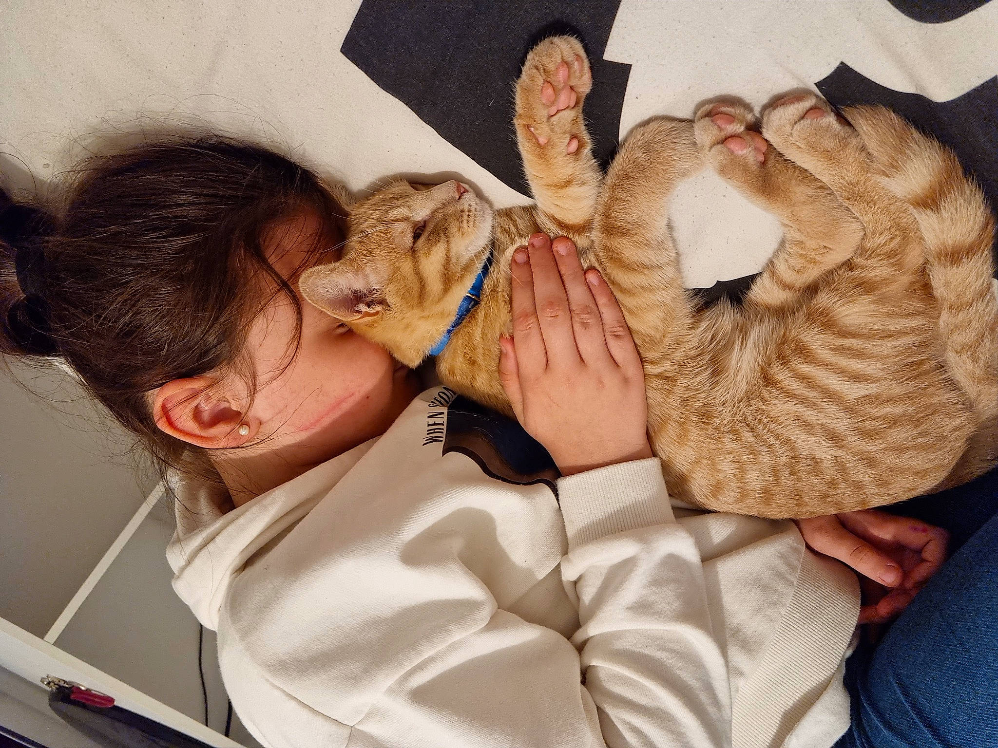 Téssa a rejoint le concours — aidez-le/la à gagner de superbes lots ! comfort, companion_dog, ear, eye, eyelash, eyewear, fawn, felidae, fur, gesture, glasses, happy, human_body, mammal, nail, neck, person, small_to_medium_sized_cats, whiskers, wood