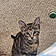 Samson