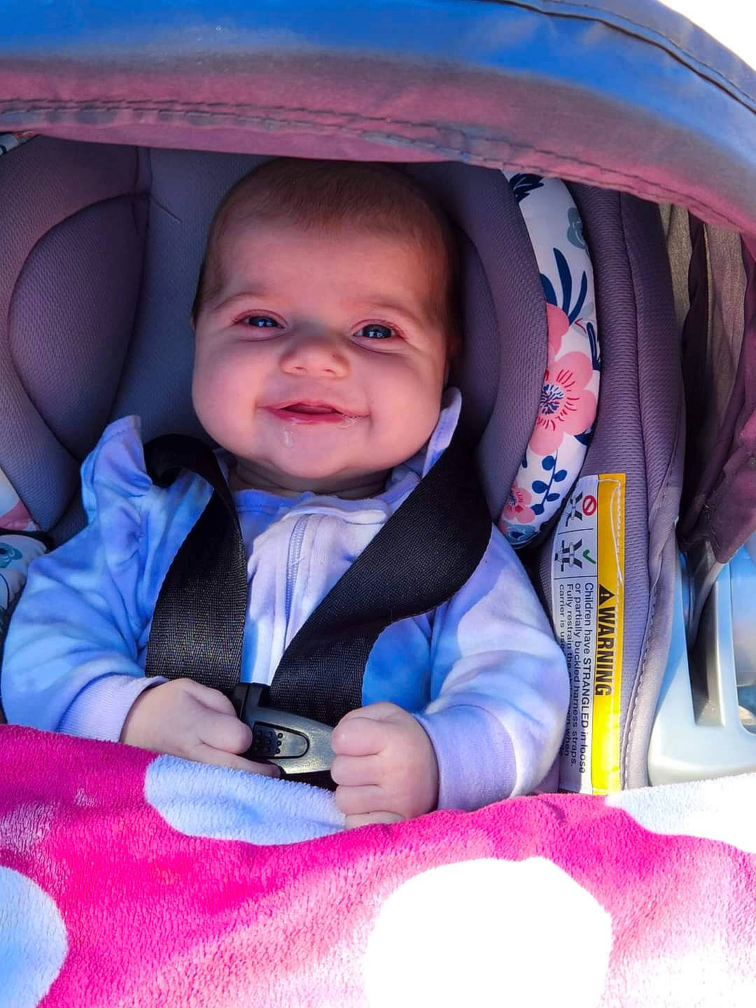 Delilah joined the competition — help win amazing prizes! baby, baby_in_car_seat, baby_products, baby_toddler_clothing, blue, child, comfort, electric_blue, eye, facial_expression, fun, happy, iris, joy, outerwear, person, pink, product, purple, skin