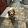Baxter