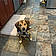 Baxter