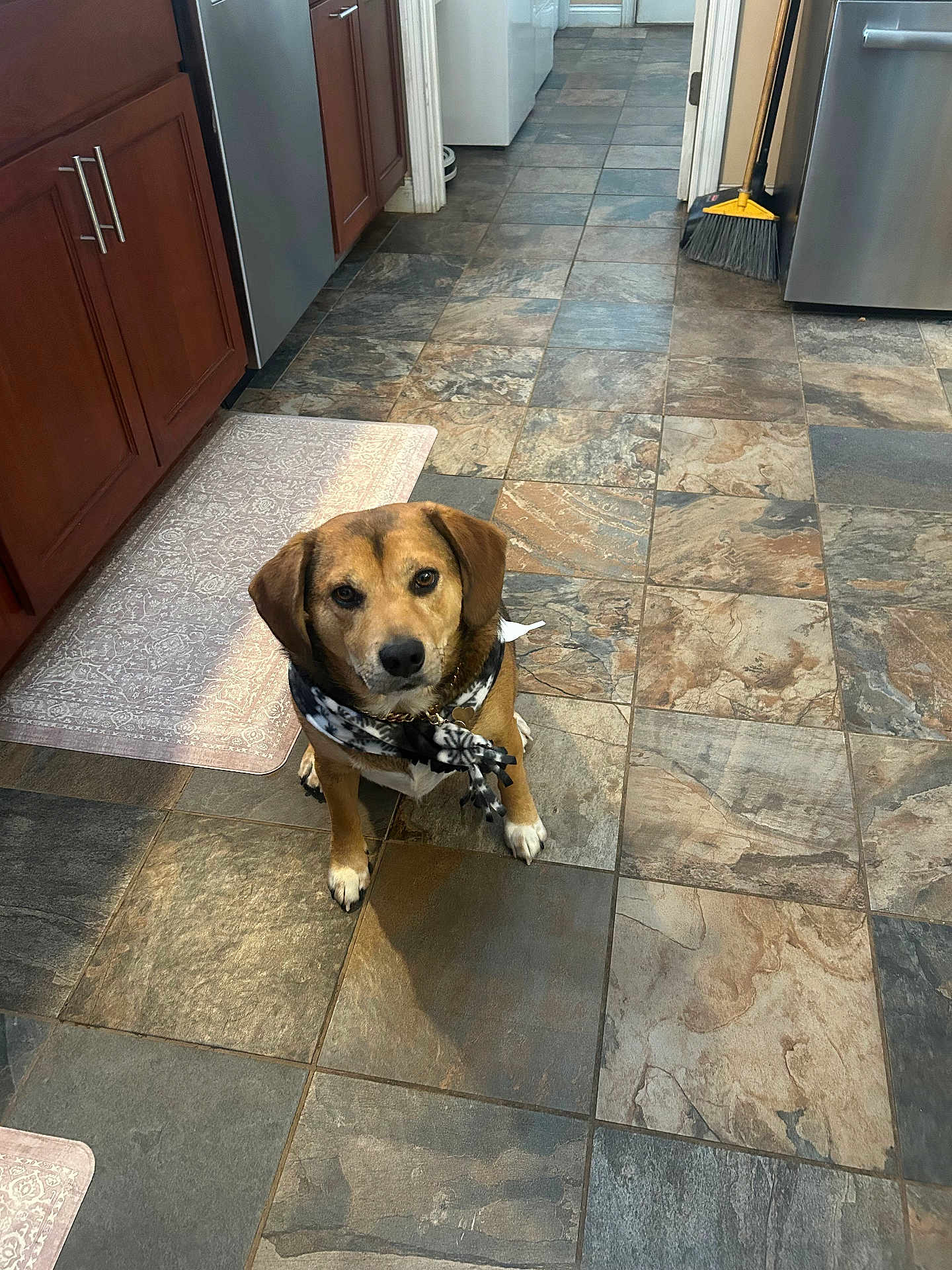 Baxter