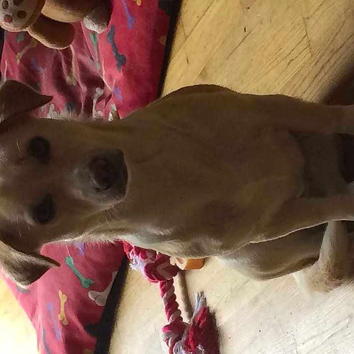 Lady joined the competition — help win amazing prizes!