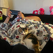 Roxi joined the competition — help win amazing prizes! animal, black_clothing, blanket, bracelet, cat, colorful, couch, floral_pattern, handheld_device, home, indoor, kitten, lamp, person, pet, pink, relaxing, ring, stuffed_animal, tattoo