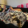 animal, black_clothing, blanket, bracelet, cat, colorful, couch, floral_pattern, handheld_device, home, indoor, kitten, lamp, person, pet, pink, relaxing, ring, stuffed_animal, tattoo