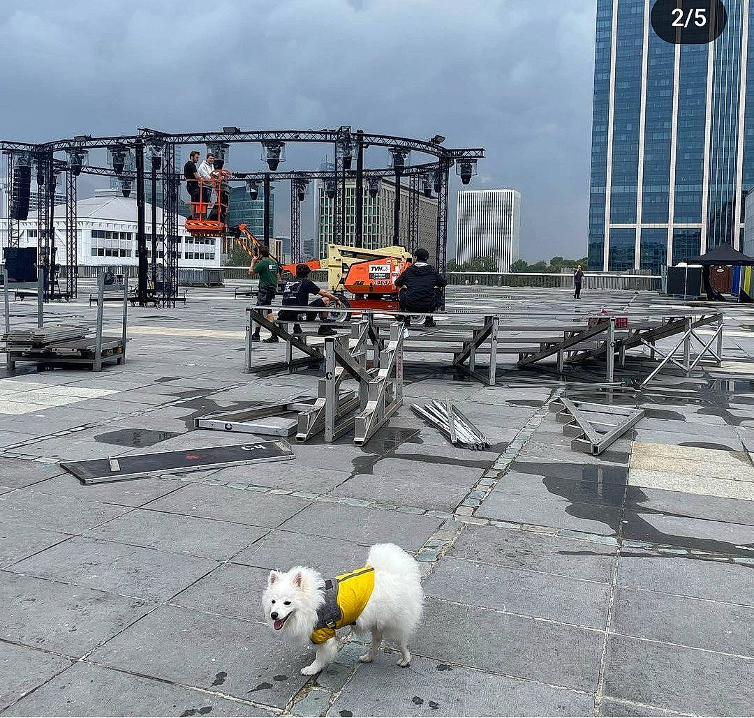 Ace a rejoint le concours — aidez-le/la à gagner de superbes lots ! asphalt, building, carnivore, city, cloud, dog, gas, infrastructure, public_space, public_utility, road, road_surface, sidewalk, sky, street, town, toy, urban_area, urban_design, winter