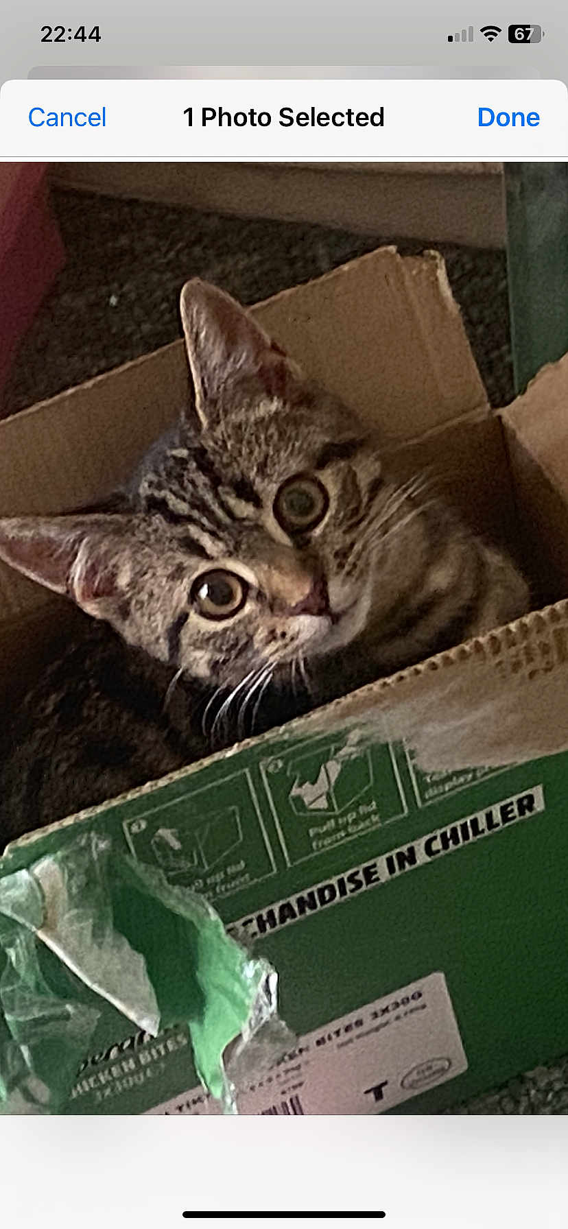 Rocky