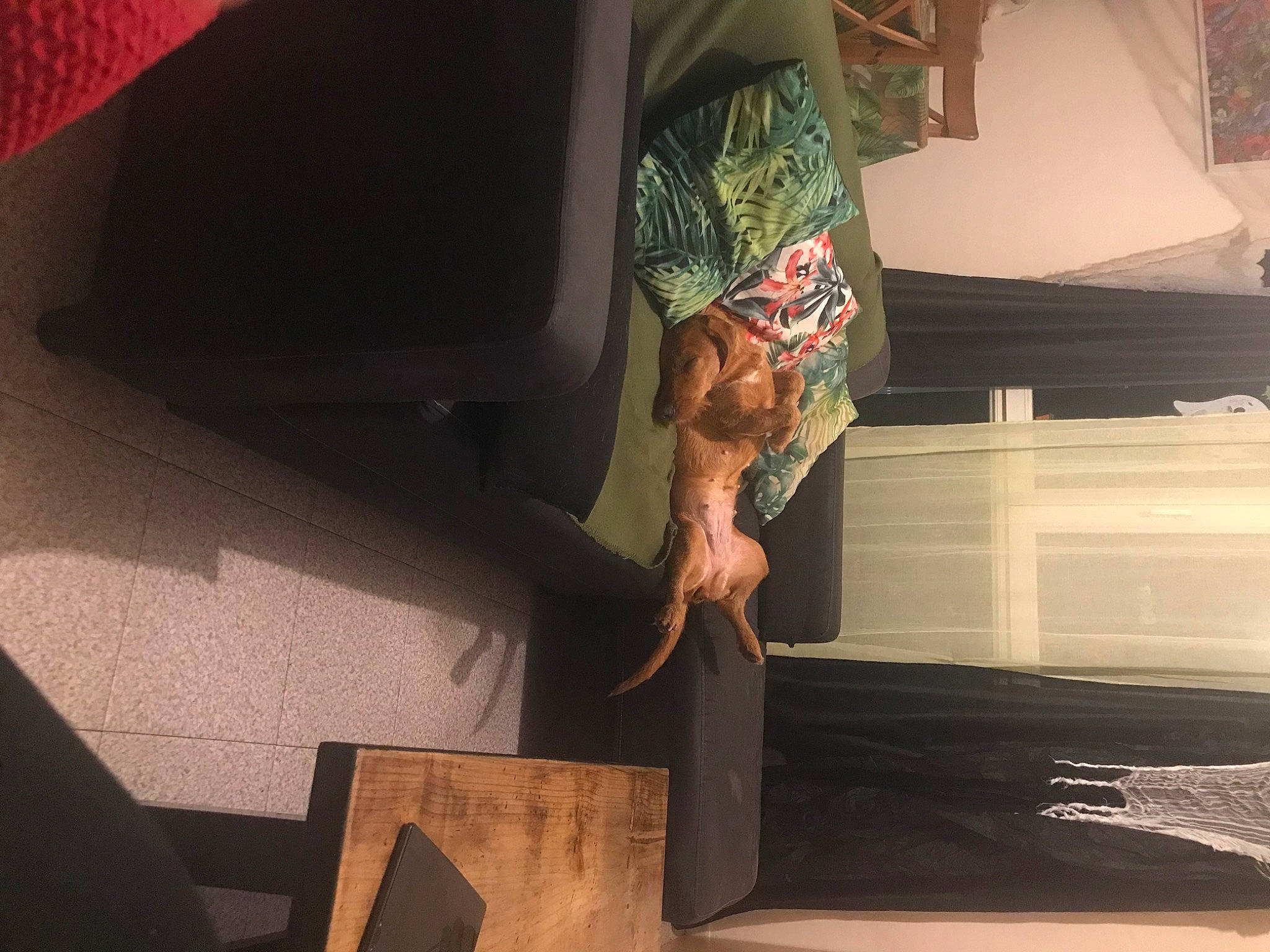 Loly participe au concours pour gagner de l'argent avec cette photo : art, ceiling, elbow, flooring, fun, gesture, hardwood, human_leg, knee, room, sitting, sleeve, t_shirt, thigh, tints_and_shades, trunk, visual_arts, waist, wood, wrist