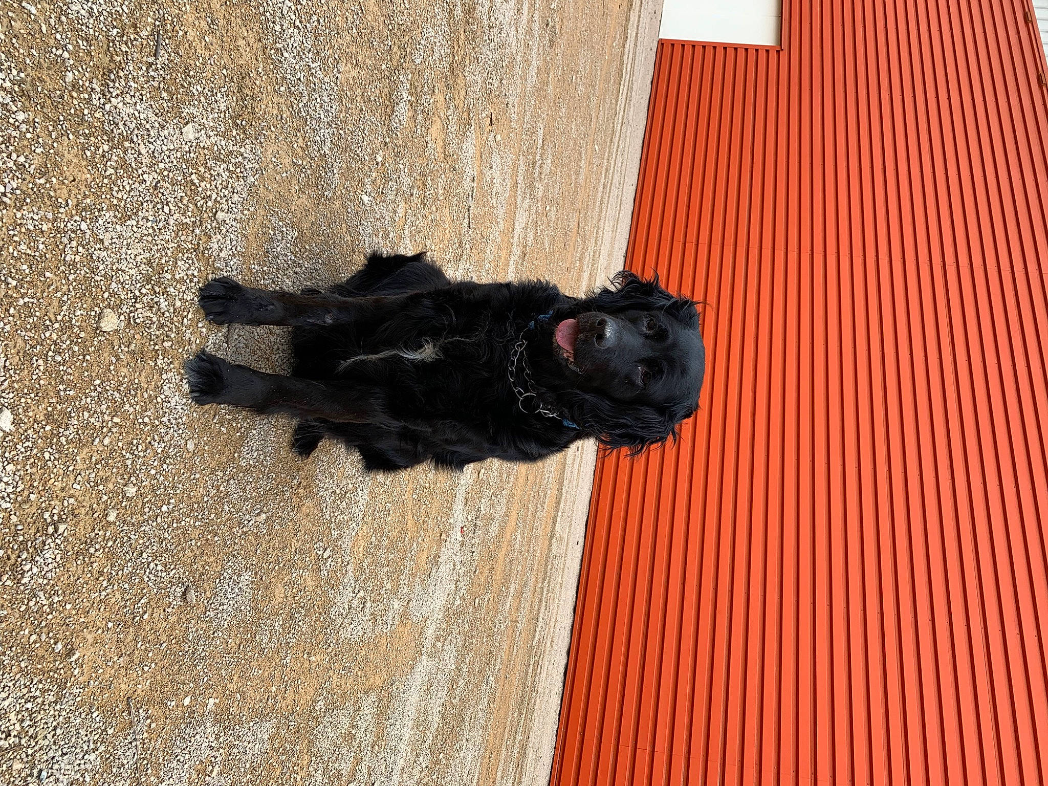 Iris participe au concours pour gagner de l'argent avec cette photo : brick, concrete, flooring, glove, magenta, pattern, sculpture, shadow, tints_and_shades, water, wood