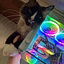 cat, pet, hand, rgb_lighting, gaming_pc, computer, electronics, indoor, feline, fur, whiskers, technology, colorful, glass_panel, hardware, mouse, cable, light, owner, interaction