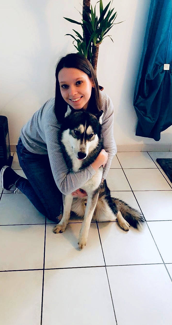 Hunter a rejoint le concours — aidez-le/la à gagner de superbes lots ! carnivore, comfort, companion_dog, dog, dog_breed, floor, flooring, fur, human, jaw, sitting, sled_dog, sporting_group, square, sweater, tile, tile_flooring, vertebrate, working_animal, working_dog