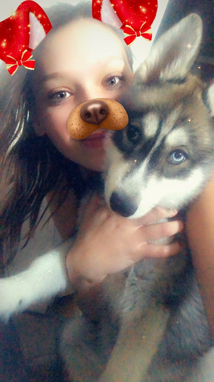 Hunter participe au concours pour gagner de l'argent avec cette photo : alaskan_klee_kai, alaskan_malamute, ancient_dog_breeds, canadian_eskimo_dog, canidae, carnivore, companion_dog, dog, dog_breed, mammal, miniature_siberian_husky, nose, puppy_love, rare_breed_dog, siberian_husky, sled_dog, snout, wolfdog