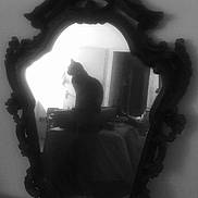 Rougaille Saucisse participe au concours pour gagner de l'argent avec cette photo : cat, mirror, reflection, black_and_white, indoor, ornate_frame, silhouette, furniture, room, window, soft_focus, shadow, vintage, decor, animal, pet, still_life, contrast, quiet, mysterious
