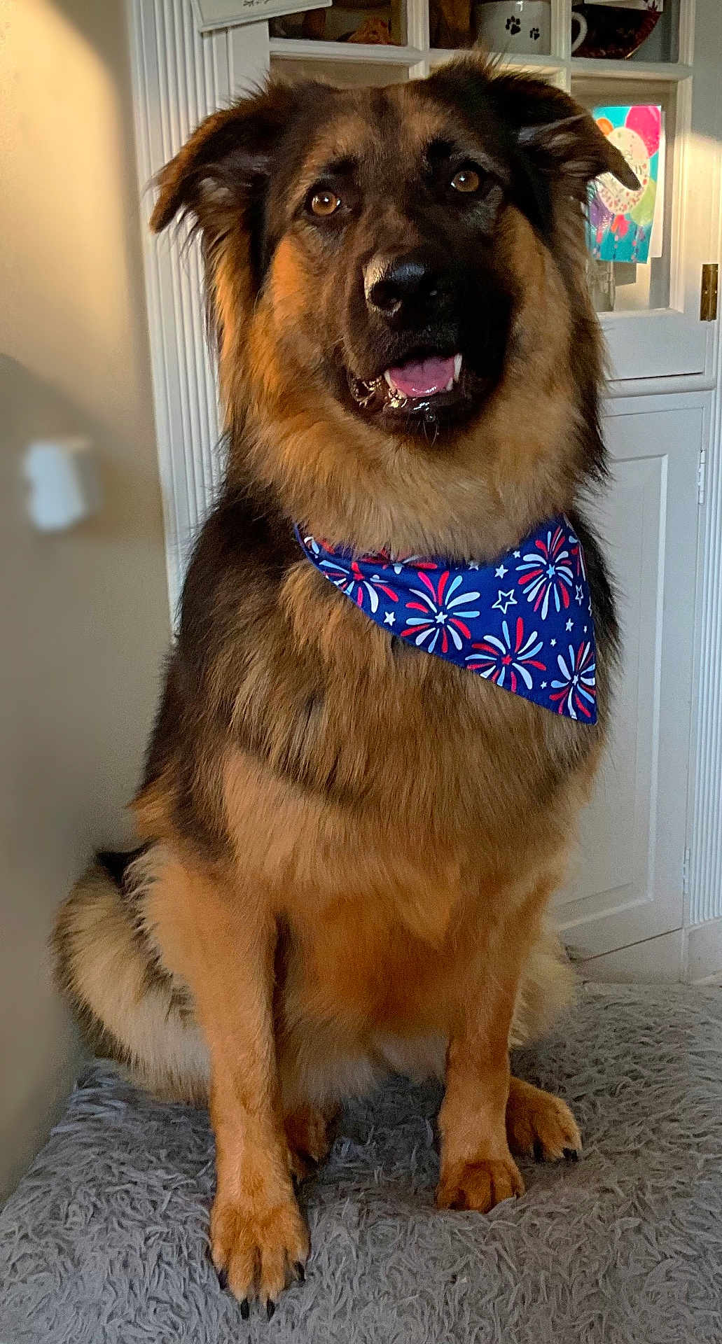 Remi