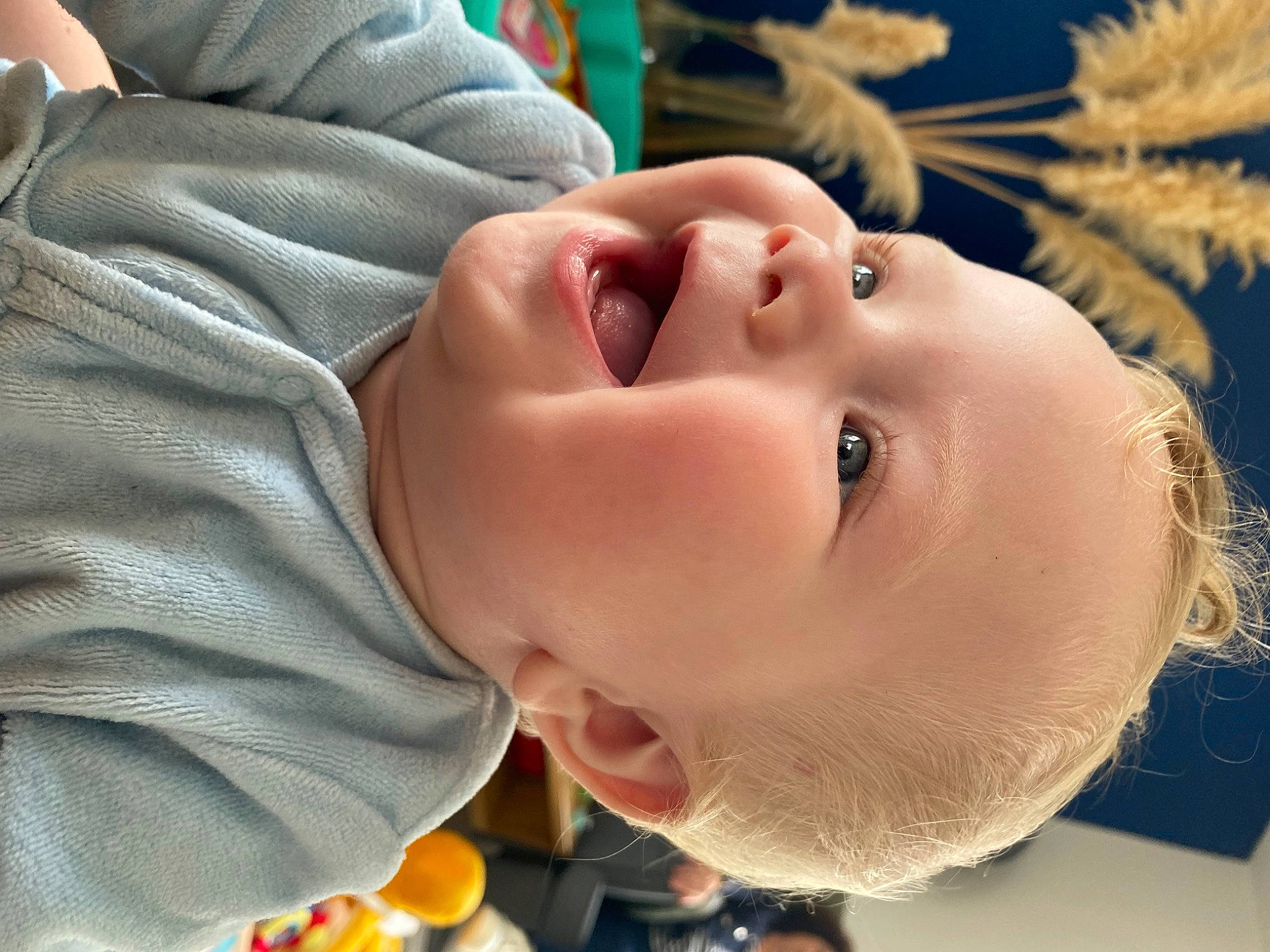 Paul a rejoint le concours — aidez-le/la à gagner de superbes lots ! baby, cheek, chin, eye, eyebrow, eyelash, flash_photography, forehead, fun, happy, head, iris, lip, mouth, neck, nose, orange, organ, person, skin