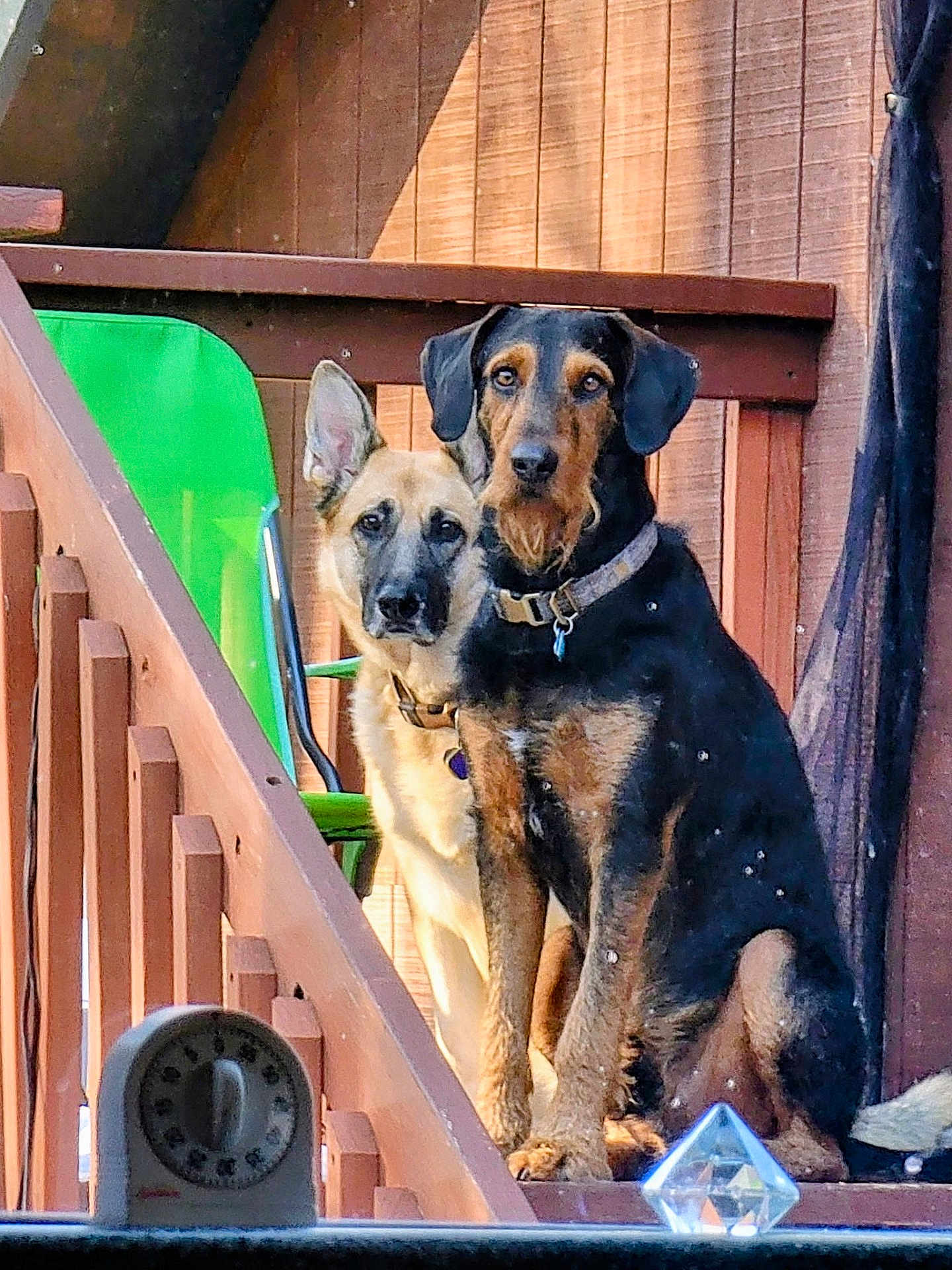 Duke And Jasmine