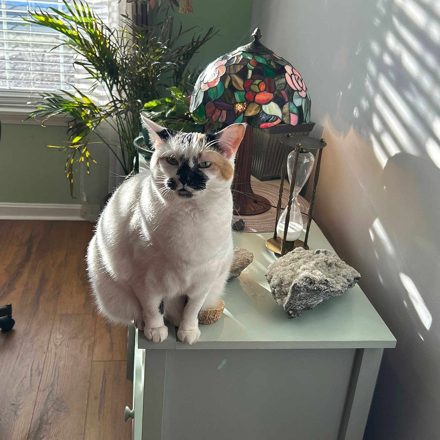Tallulah