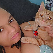 Nacho Dip joined the competition — help win amazing prizes! cat, orange_tabby, pet, person, selfie, cuddling, portrait, indoors, couch, blanket, blue_wall, collar, tag, spiderman, whiskers, green_eyes, facial_expression, close_up, home, companion_animal
