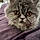 Olympe