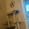 cat, cat_tree, indoor, black_cat, white_paws, pet, furniture, window, sliding_door, wall, decor, candle_holder, curious, relaxed, animal, home, light, leisure, resting, domestic