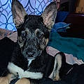 Tabitha P.