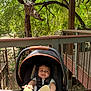 Abran is registered to the contest to win money with this photo: baby, stroller, child, outdoor, metal_giraffe, sculpture, greenery, trees, railing, wooden_deck, sunlight, happy, face, footwear, infant, seat, nature, playful, curious, shade
